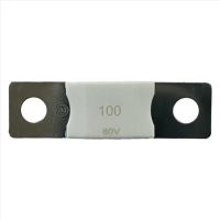 MEGA-pojistka 100A/80V Victron Energy MEGA-pojistka 100A/80V Victron Energy