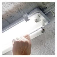 LED zářivka PROFI PLUS T8 14W 120cm studená bílá (11)