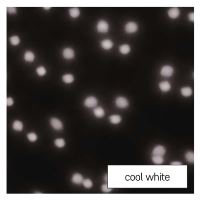 LED dekorativní projektor – padající vločky, venkovní i vnitřní, bílá (2)