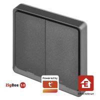 GoSmart Přenosný ovladač scén IP-2002ZB, ZigBee 3.0, 2-tlačítkový (12)
