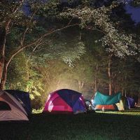 COB LED + LED nabíjecí svítilna P2308, 240 lm, aku 4000 mAh (6)
